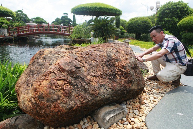 Mê mẩn hồ cá Koi 20 tỷ độc nhất vô nhị của đại gia Thái Nguyên - Hình 9 Me man ho ca Koi 20 ty doc nhat vo nhi cua dai gia Thai Nguyen-Hinh-9