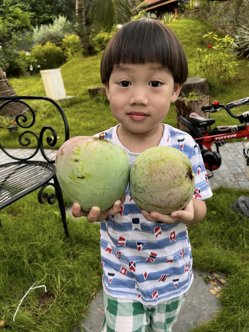 Man nhan vuon cay triu qua trong “biet phu” cua Xuan Bac-Hinh-4