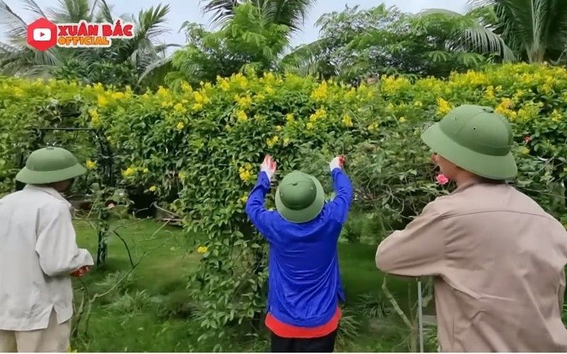 Man nhan vuon cay triu qua trong “biet phu” cua Xuan Bac-Hinh-8