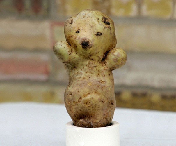 “Cuoi vo bung” hinh dang ngo nghinh cua cac loai rau cu qua-Hinh-6
