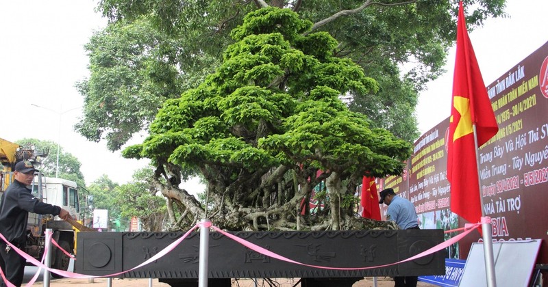 Sanh co phu reu chi de “ngam”, bao nhieu tien cung khong ban