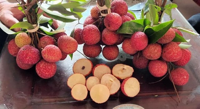 3 loại quả đặc sản giá cao ngất ngưởng vẫn “cháy hàng“ - Hình 3 3 loai qua dac san gia cao ngat nguong van “chay hang“-Hinh-3