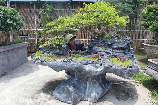 Can canh vuon bonsai lon bac nhat Ha Noi-Hinh-12