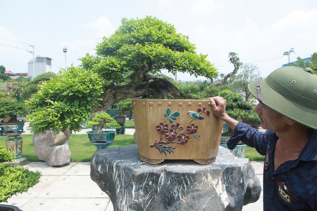 Can canh vuon bonsai lon bac nhat Ha Noi-Hinh-9