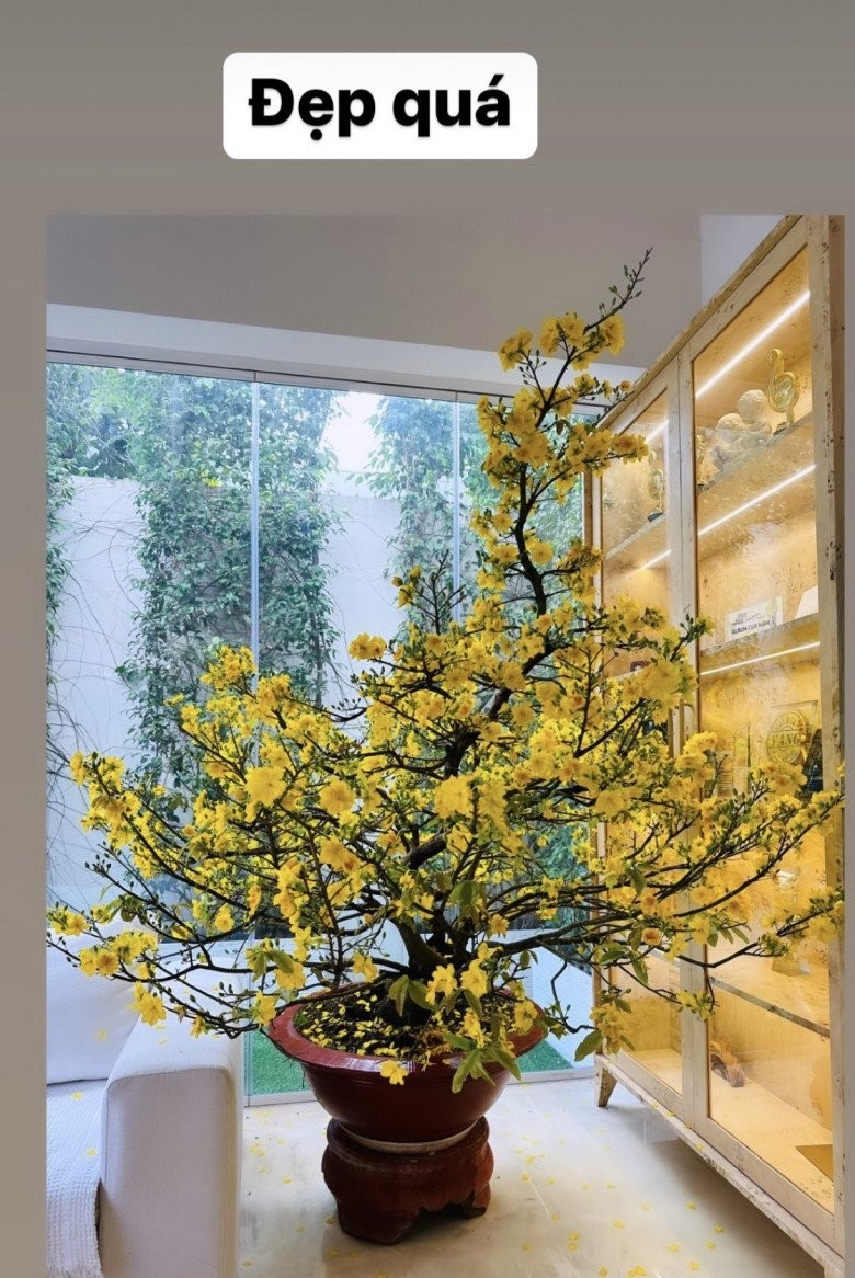 Cận cảnh biệt thự 30 tỷ đẹp tinh tế của Hà Hồ - Kim Lý - Hình 12 Can canh biet thu 30 ty dep tinh te cua Ha Ho - Kim Ly-Hinh-12