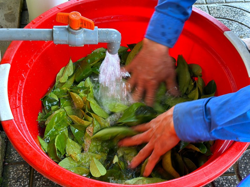 Nghe hai la cay ban tien trieu duoi chan nui Thien Nhan-Hinh-8