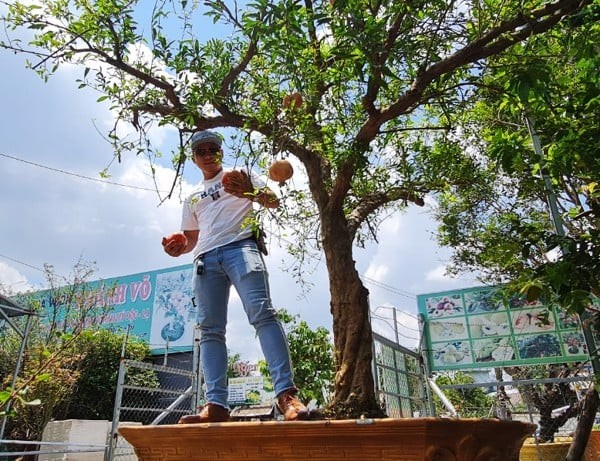 Ngam luu bonsai co thu “het gia” 100 trieu khien dai gia me man-Hinh-4