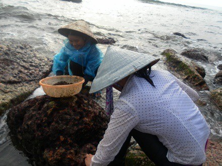 4 thu “loc troi” cu den mua xuat hien la nguoi dan “hot bac“-Hinh-6