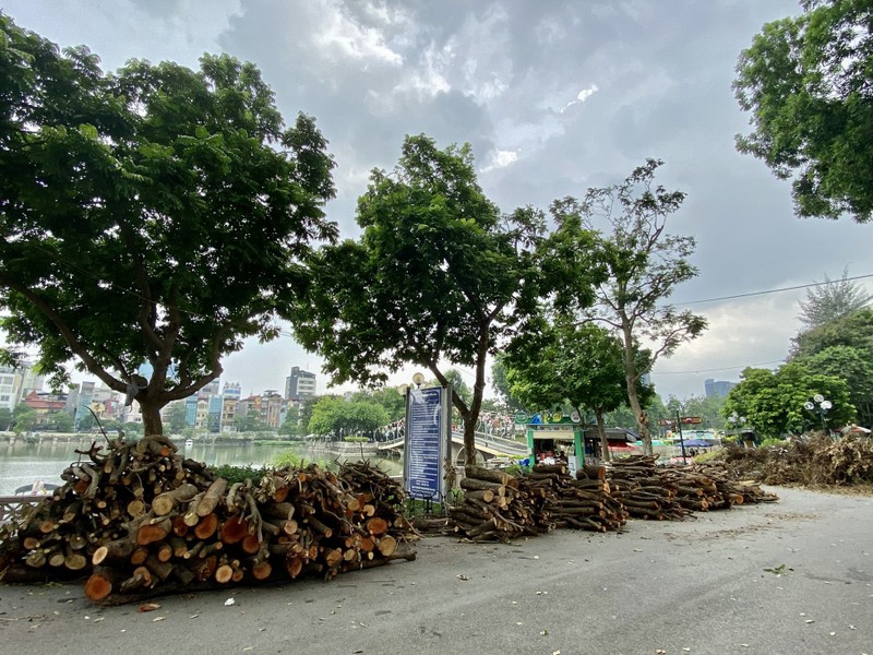 Nhech nhac Cong vien Thu Le Ha Noi