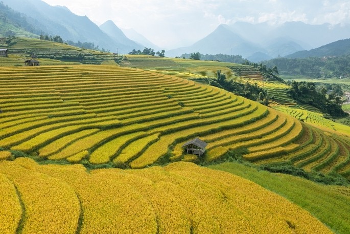 Ruong bac thang chin som lam say long lu khach den Sa Pa-Hinh-4