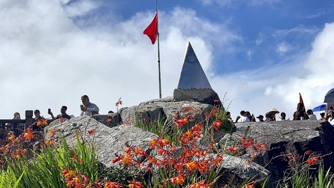 Ruong bac thang chin som lam say long lu khach den Sa Pa-Hinh-9