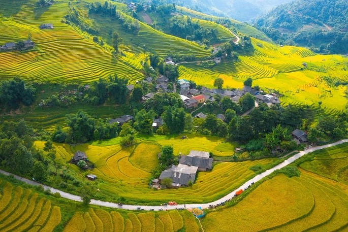 Ruong bac thang chin som lam say long lu khach den Sa Pa