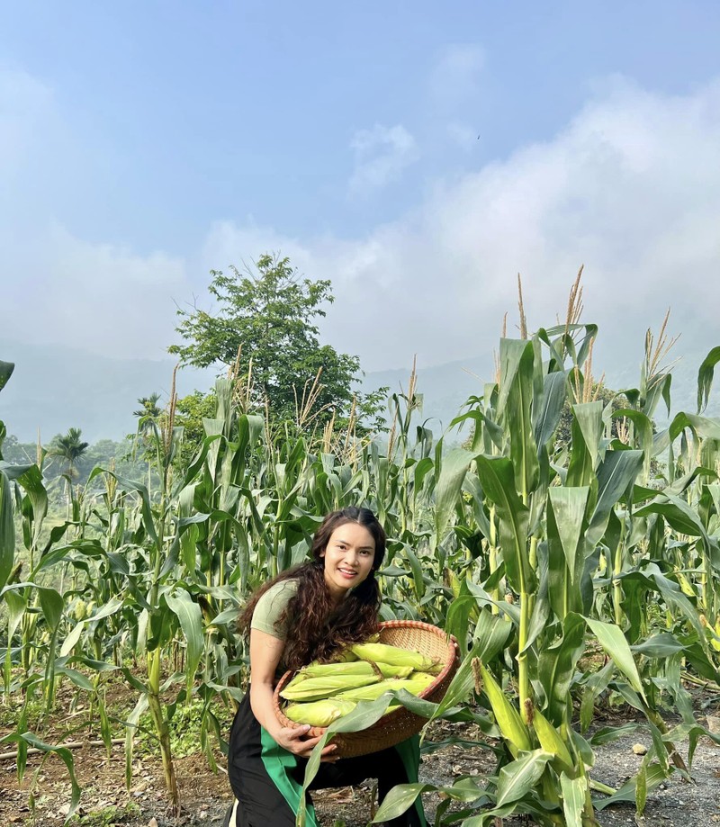 “Biet phu” tren doi 8.000 m2 ngap hoa trai cua NSUT Pham Phuong Thao-Hinh-4