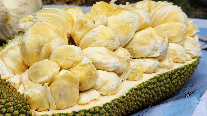 Mít sầu riêng đang gây sốt ở miền Tây đặc biệt cỡ nào? - Hình 8 Mit sau rieng dang gay sot o mien Tay dac biet co nao?-Hinh-8