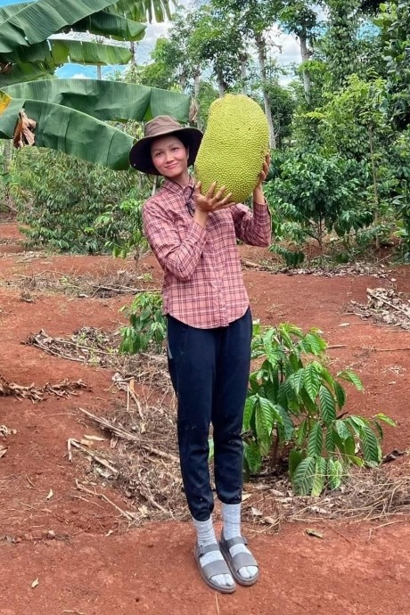 Khu vuon ngap cay trai trong nha Hoa hau H’Hen Nie tai que nha-Hinh-9