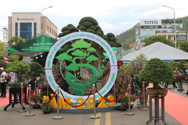 Ngam loat “quai cay” bonsai gia hang ty dong khong ban