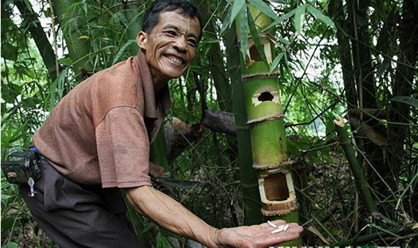 La lung dac san nhin khiep via 500.000 dong/kg van “chay hang“-Hinh-7