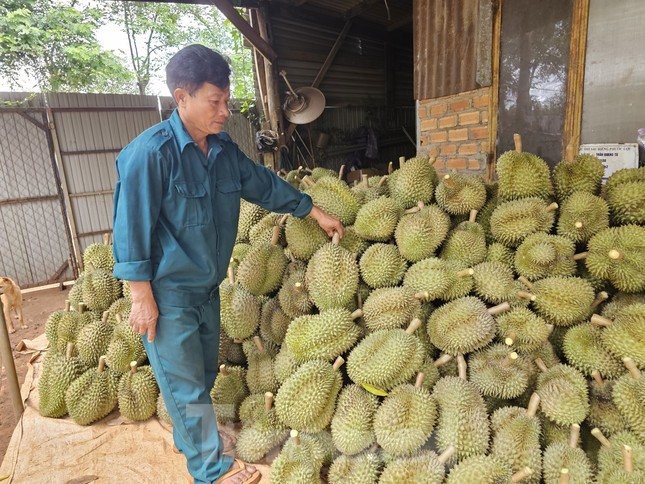 Con sot sau rieng: Nhieu nguoi lo tien ty, nha cua bay trong not nhac-Hinh-5