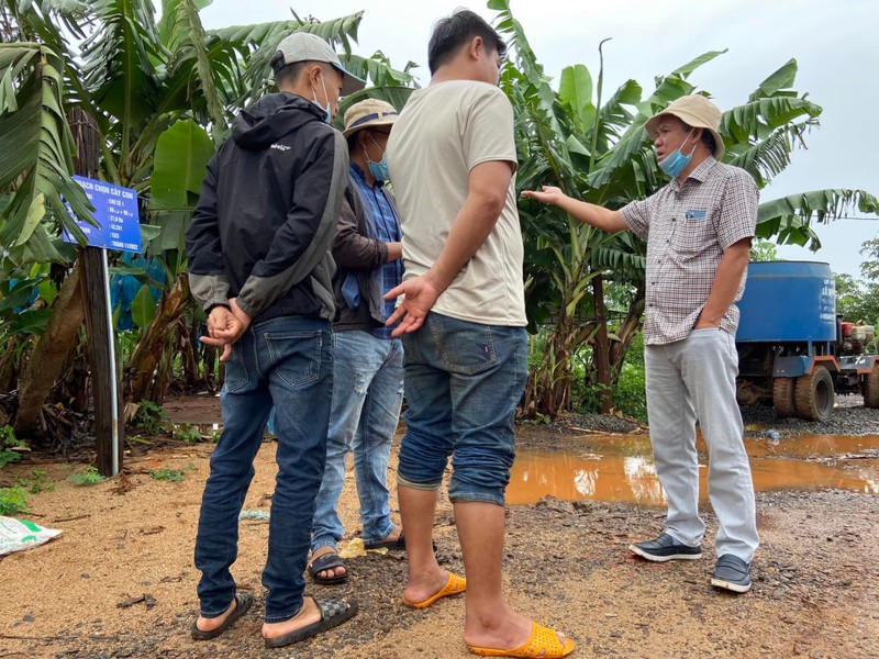 Ben trong trang trai trong chuoi hang nghin ha cua Bau Duc-Hinh-4