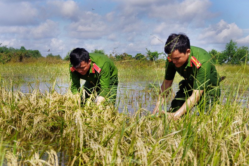 Hinh anh chien si ngam minh trong nuoc giup dan cuu lua-Hinh-8