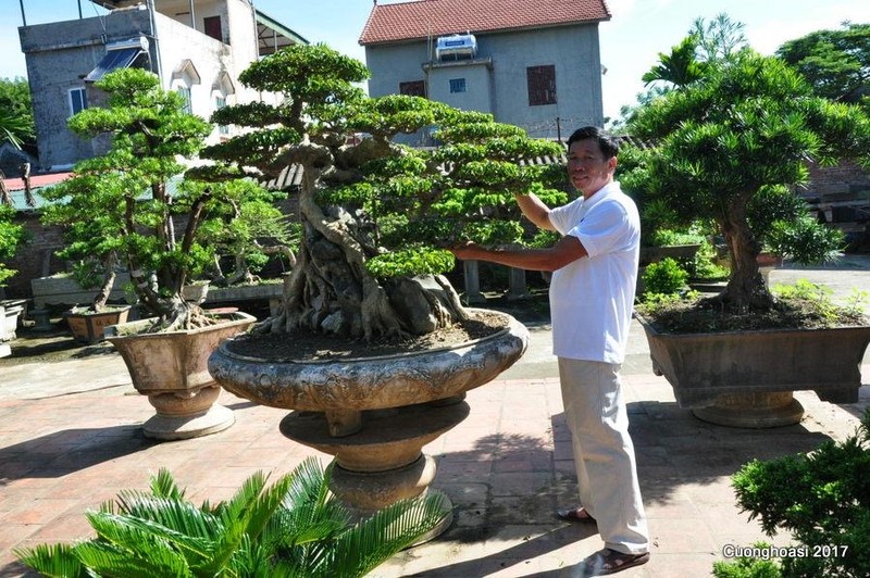 Ngam sanh co dang phuong khien gioi choi cay “sung sot