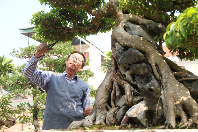 Ngam sanh co dang phuong khien gioi choi cay “sung sot