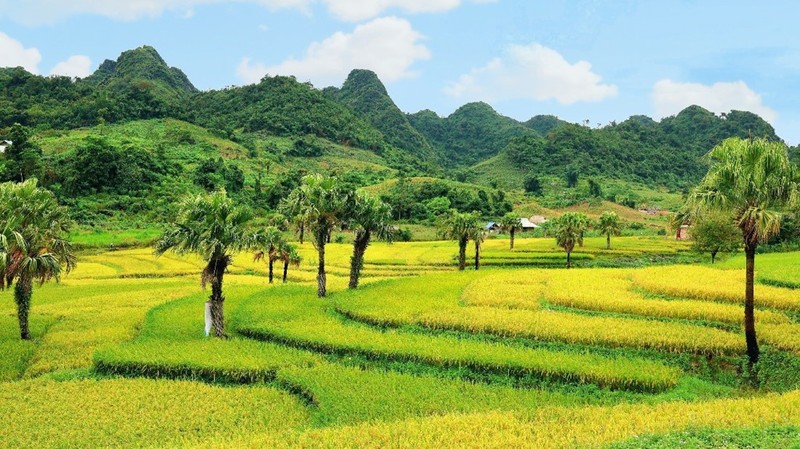 Sac vang tho mong tren Ban Ten mo suong-Hinh-4