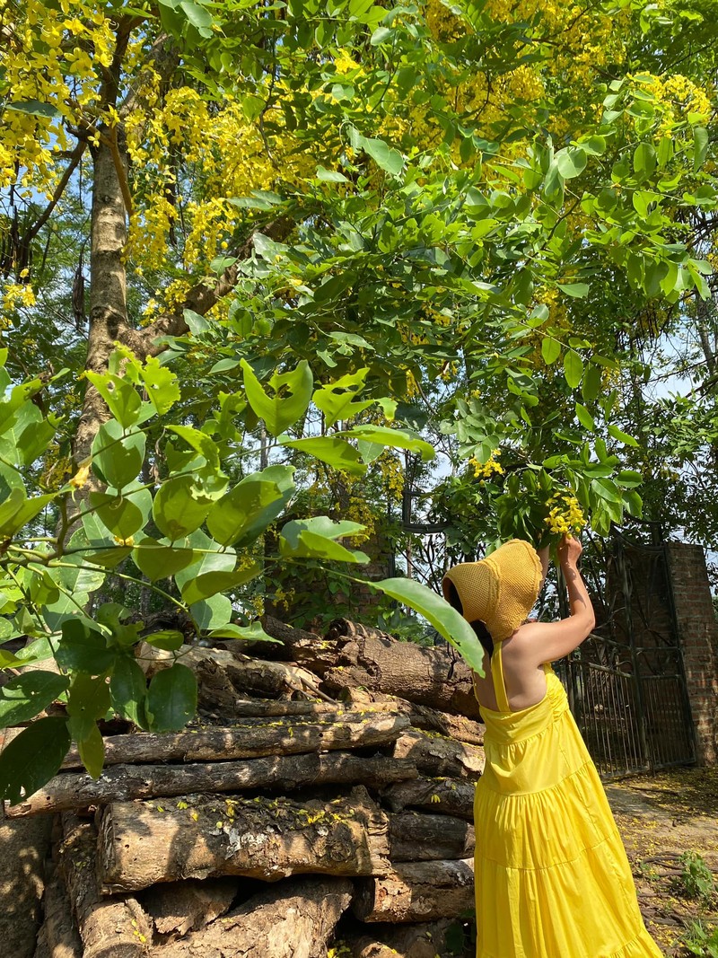 Nha vuon rong 1.000m2 o ngoai thanh Ha Noi cua NSUT Chieu Xuan-Hinh-3