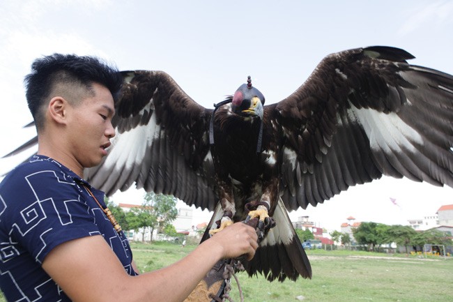 Bat mi loai chim du khien nguoi Viet vung “nui tien” mua lam canh-Hinh-8