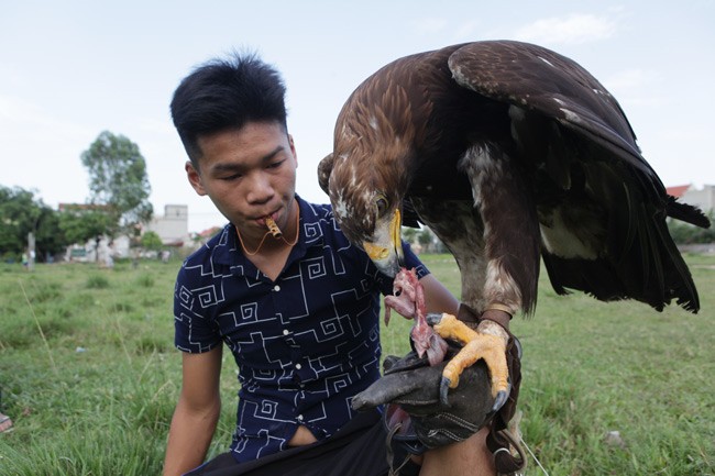 Bat mi loai chim du khien nguoi Viet vung “nui tien” mua lam canh-Hinh-9