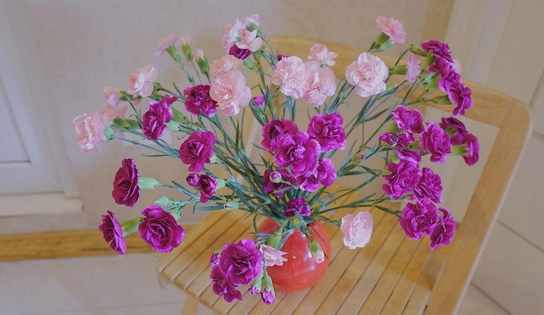 Xuyt xoa “vuon hoa thu nho” trong nha MC Diep Chi-Hinh-12