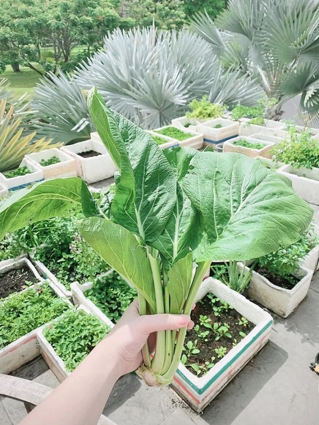 Cơ ngơi 2 mặt tiền đồ sộ của Bảo Thy và chồng đại gia - Hình 12 Co ngoi 2 mat tien do so cua Bao Thy va chong dai gia-Hinh-12
