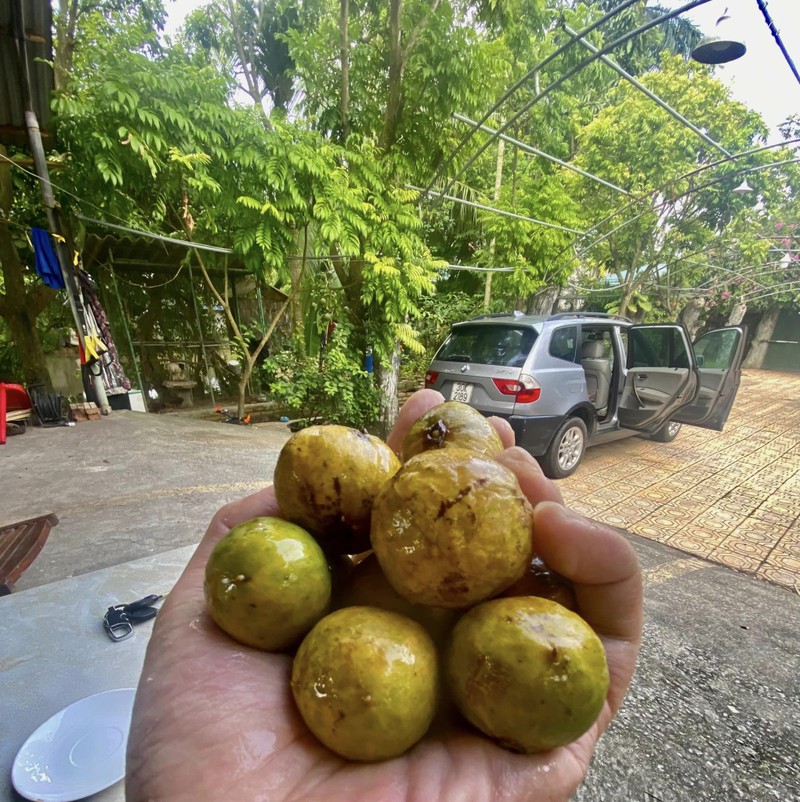 Ngam nha vuon 10.000m2 cua co nghe si Giang Coi-Hinh-4