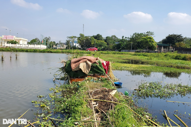 Am anh chim troi bi troi chan, dung lam moi nhu dong loai giua canh dong-Hinh-7