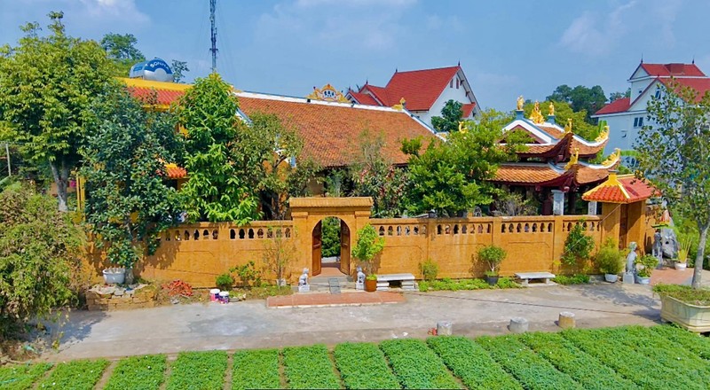 Choang ngop hai biet phu bac ty cua nghe si Vuong Rau-Hinh-9