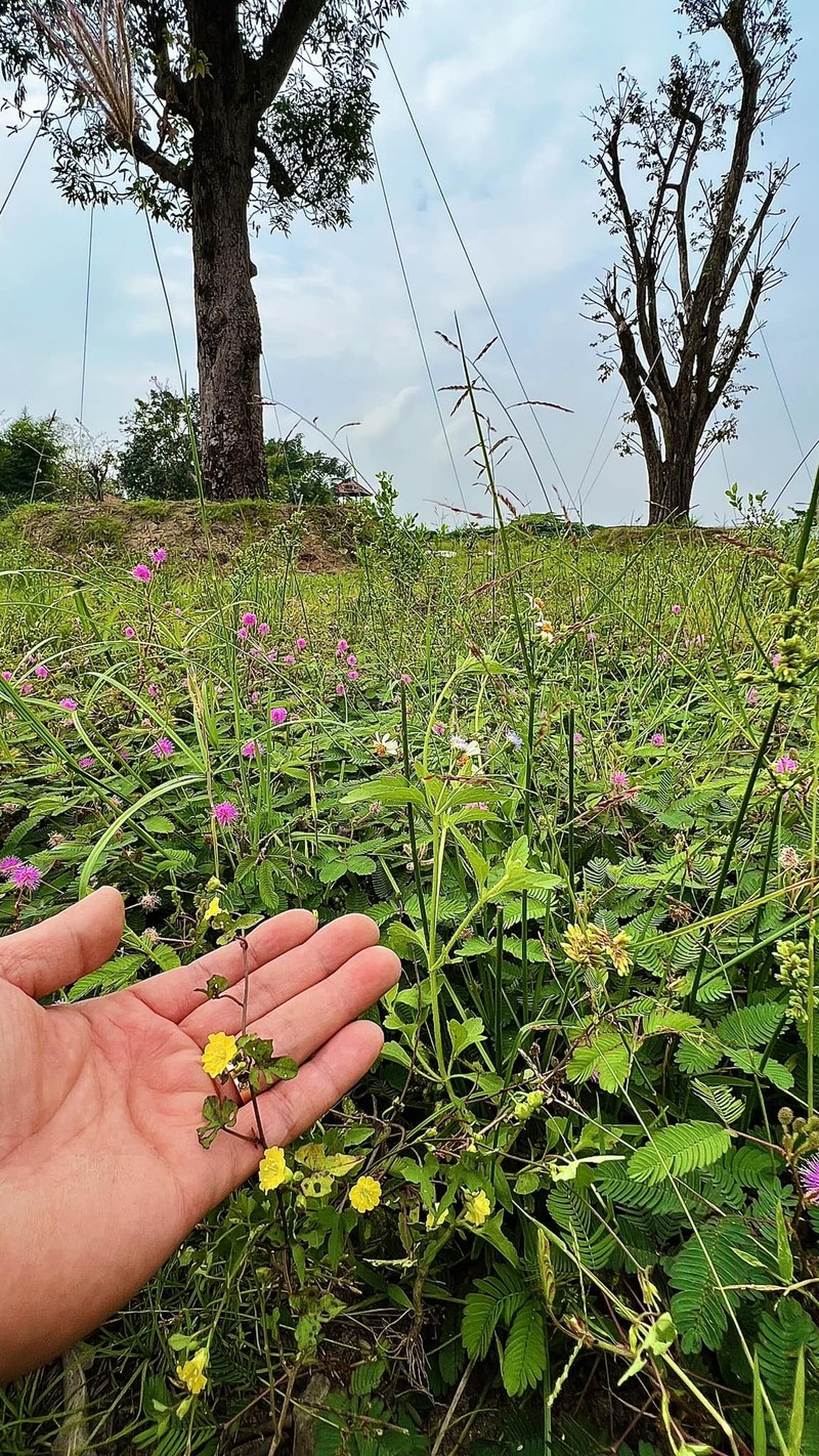 “Vua ca Koi” Thang Ngo gio ra sao hau chia tay Ha Thanh Xuan?-Hinh-3