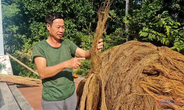 Trong 'cay lam giau', nguoi dan Thanh Hoa lam canh no nan-Hinh-4