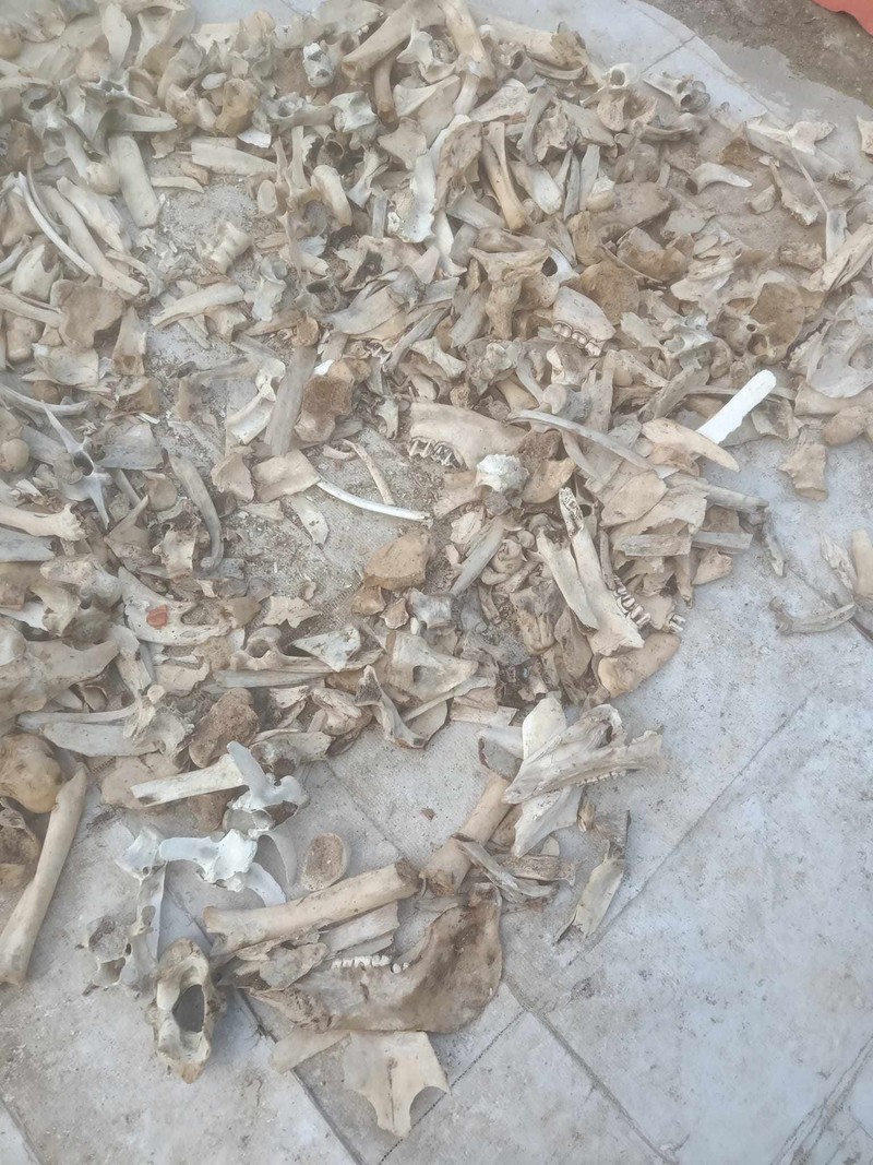 4 thứ tưởng bỏ đi, không ngờ là “mỏ vàng” - Hình 2 4 thu tuong bo di, khong ngo la “mo vang”-Hinh-2