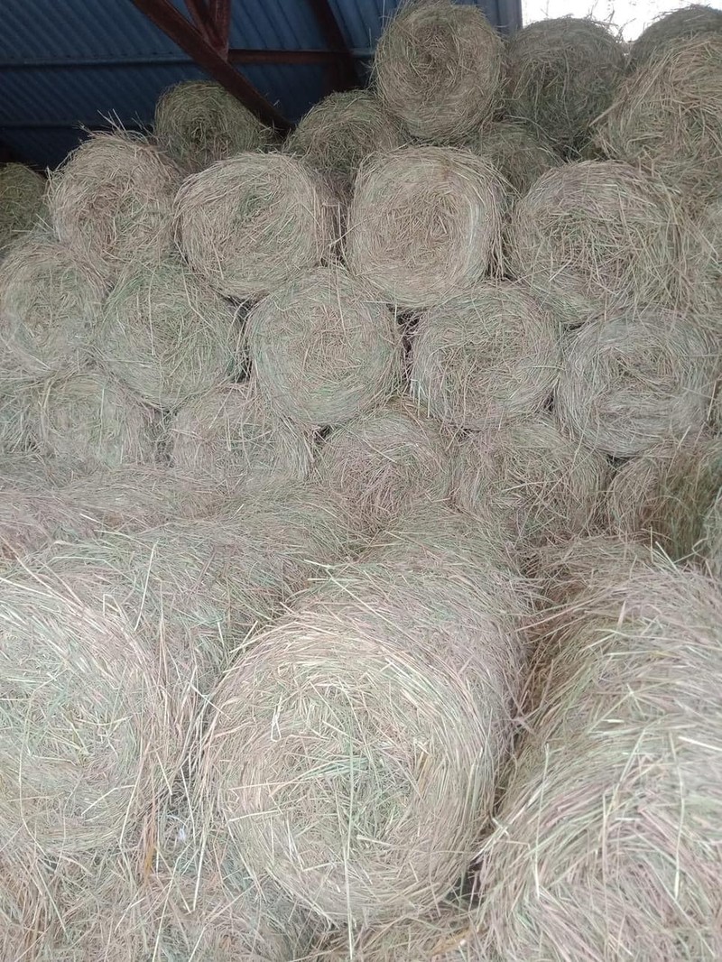 4 thứ tưởng bỏ đi, không ngờ là “mỏ vàng” - Hình 6 4 thu tuong bo di, khong ngo la “mo vang”-Hinh-6