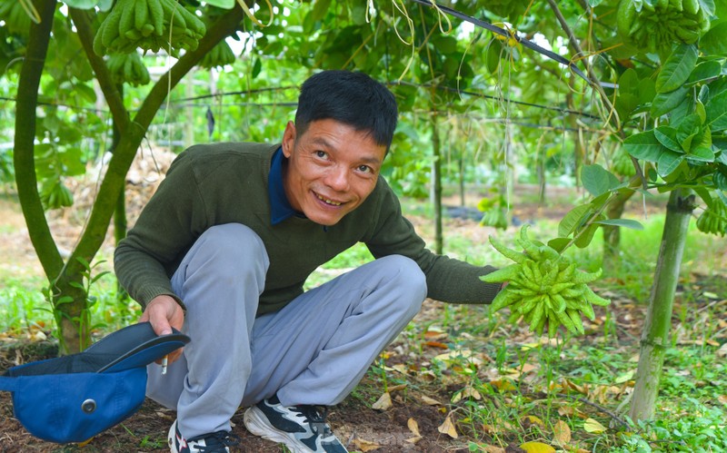 Lang trong qua 'ban tay Phat' lon nhat mien Bac tat bat vao vu Tet-Hinh-12