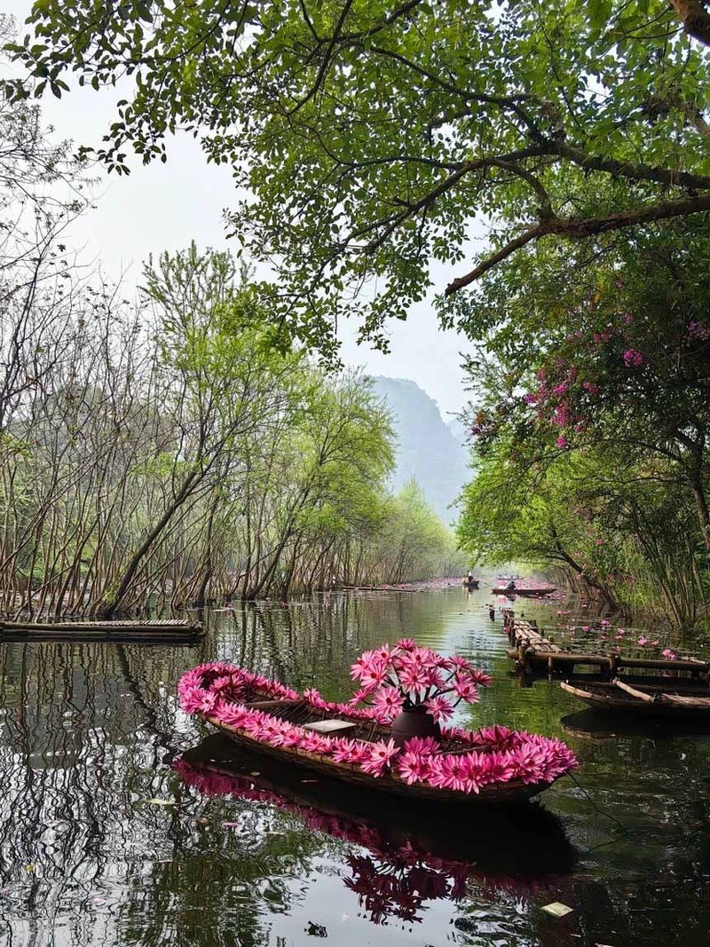 Ngam hoa sung ‘to hong’ suoi Yen-Hinh-6