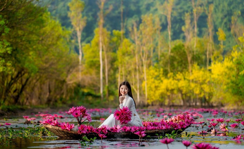 Ngam hoa sung ‘to hong’ suoi Yen-Hinh-8