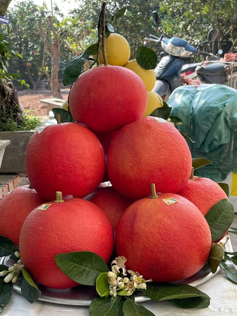 Bat mi loai buoi tien vua cu den Tet nha giau tranh nhau mua-Hinh-4