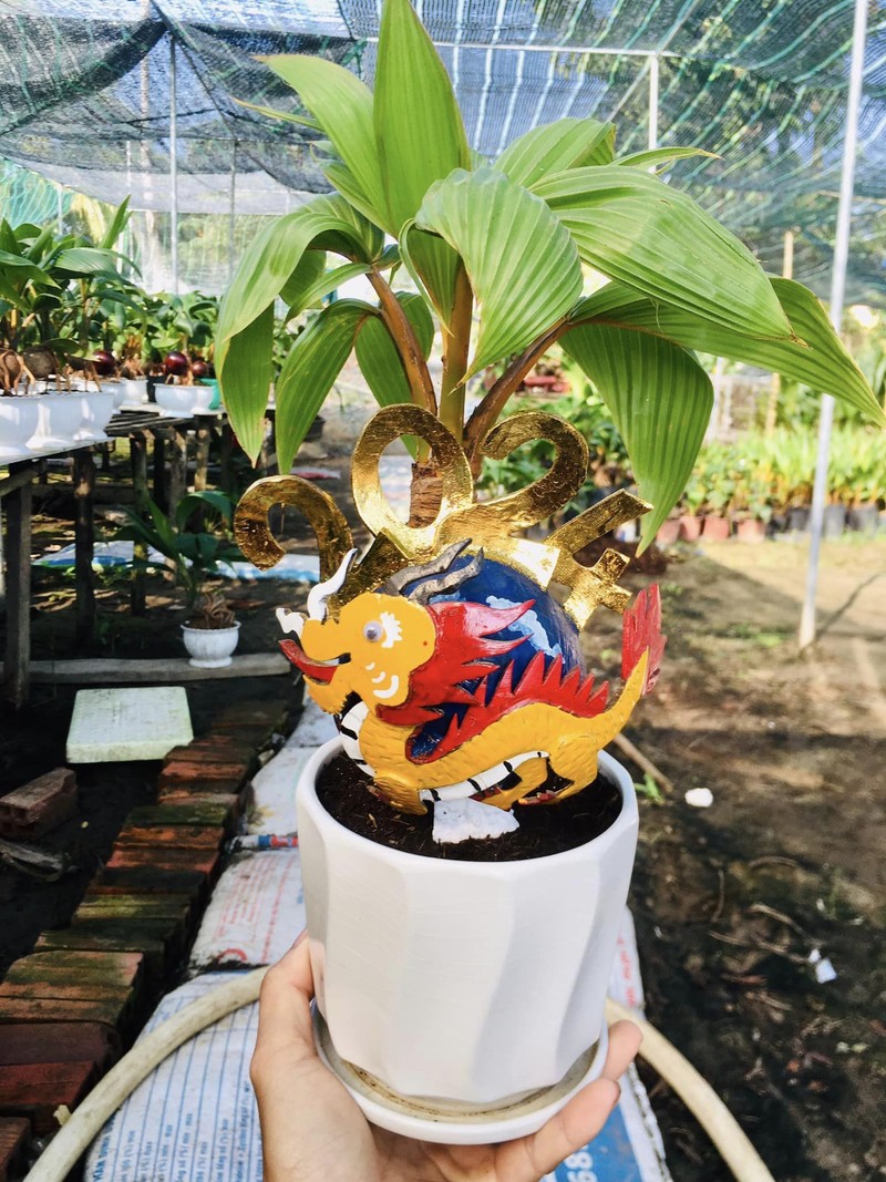 Rong vang om dua bonsai “ngong” khach ruoc ve choi Tet Giap Thin 2024-Hinh-10