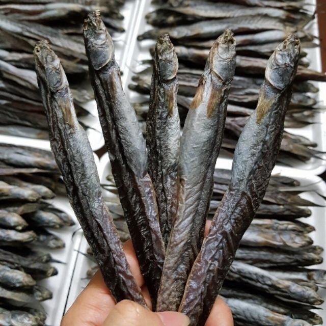 Loại cá xưa rẻ như cho, nay nửa triệu/kg khách thi nhau mua - Hình 6 Loai ca xua re nhu cho, nay nua trieu/kg khach thi nhau mua-Hinh-6