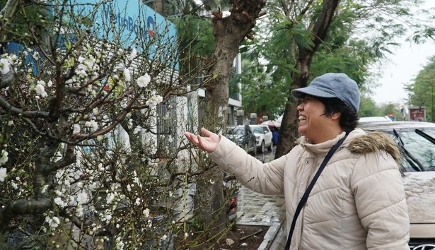 Bach dao quy hiem co nao khien dai gia “doc tien” san choi Tet?-Hinh-6