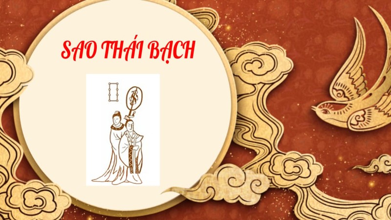 Sao han 2024: Nhung tuoi bi sao Thai Bach quet sach cua nha