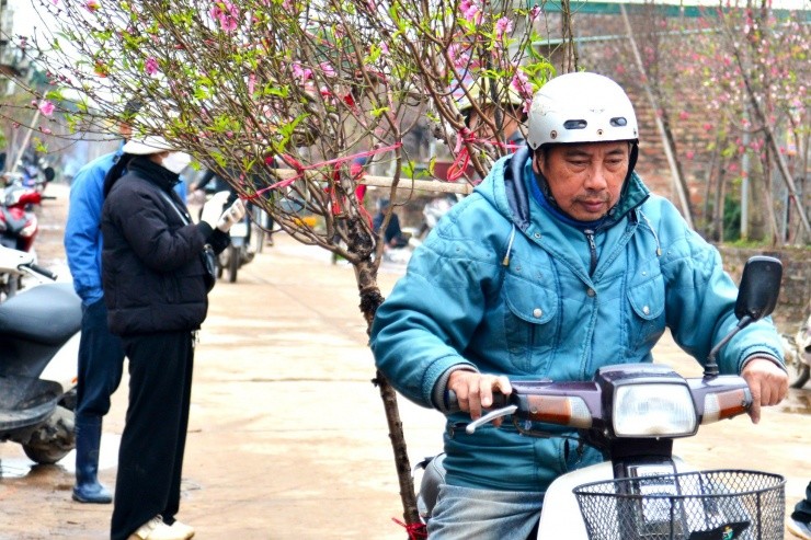 Kiem tien trieu moi ngay nho van chuyen dao, cay canh dip Tet-Hinh-15