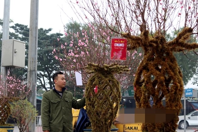 Ngắm đào lộc bình độc lạ “cháy hàng” dịp Tết Giáp Thìn 2024 - Hình 8 Ngam dao loc binh doc la “chay hang” dip Tet Giap Thin 2024-Hinh-8
