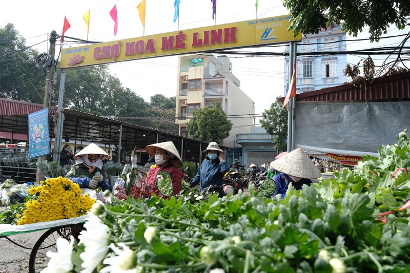 Nhon nhip nhung cho hoa Tet nuc tieng Ha thanh-Hinh-7